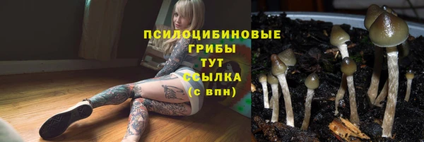 марки lsd Алзамай
