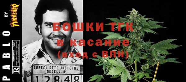 тгк Алексин