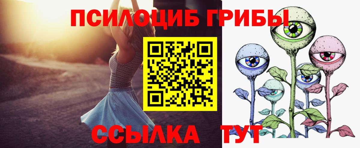 Галлюциногенные грибы Psilocybine cubensis Южно-Сахалинск