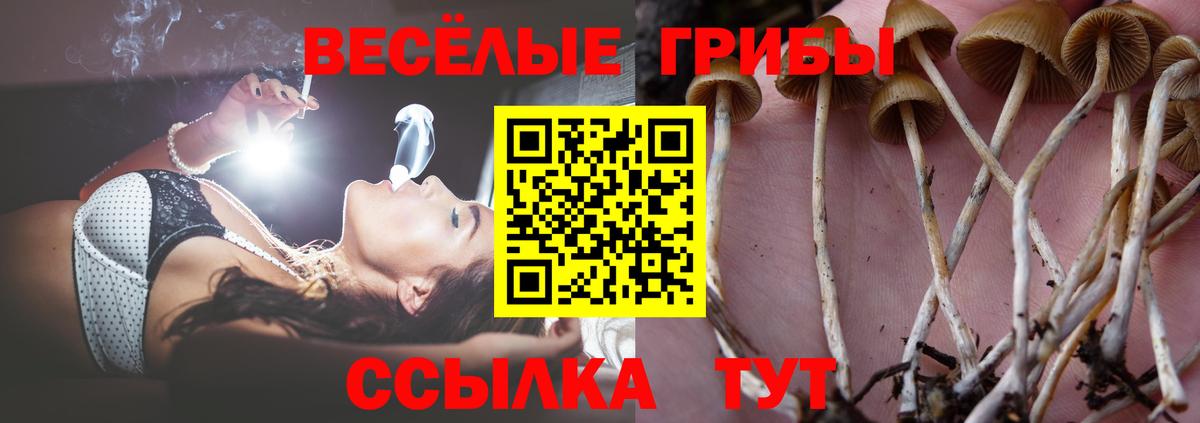 Псилоцибиновые грибы GOLDEN TEACHER  Вход с VPN  Южно-Сахалинск 